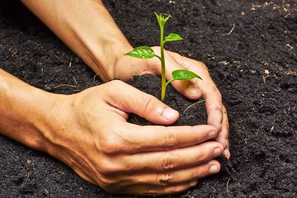 Vermicompost in Tamilnadu